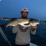 La Hume Proche Port Commodites Bassin D'arcachon Avec Piscine Chauffee * Gujan-Mestras