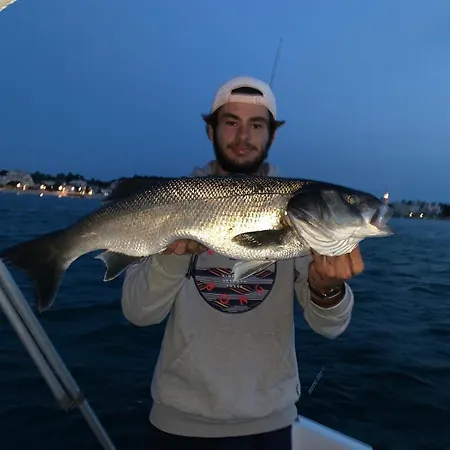 La Hume Proche Port Commodites Bassin D'arcachon Avec Piscine Chauffee * Gujan-Mestras